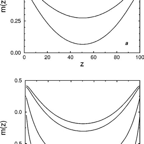 Magnetization profiles calculated in the d ϭ 2 Ising film of the width