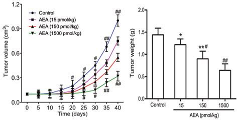 Effect Of Aea On Tumor Growth In Vivo Balb C Nu Mice Were Injected Download Scientific Diagram