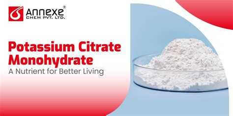 Potassium Citrate Monohydrate Essential Nutrient For Wellness