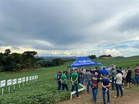 Dia De Campo Em Videira Propriedade Sergio Coser Coopervil