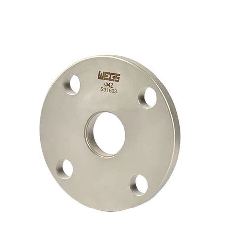 Flatconvex Flange Stainless Steel Pipe Fitting Wegs