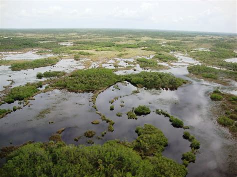 Ten Thousand Islands National Wildlife Refuge in Naples | VISIT FLORIDA