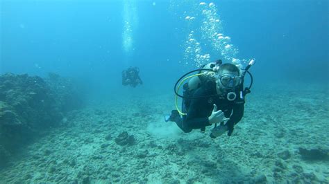 Honolulu Scuba - 02-04-2019