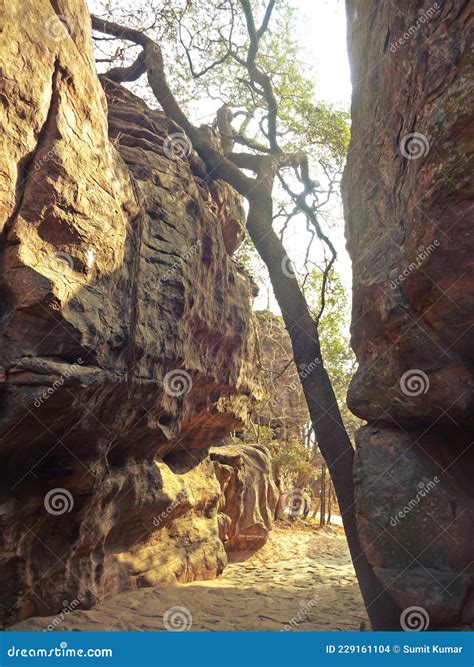 Bhimbetka Albergues De Roca Patrimonio De La Unesco Distrito Bhopal