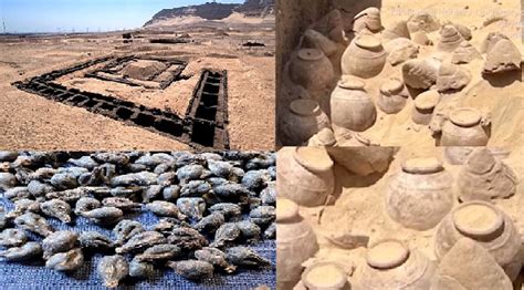 5000 Year Old Wine Discovered In Egyptian Queen S Tomb