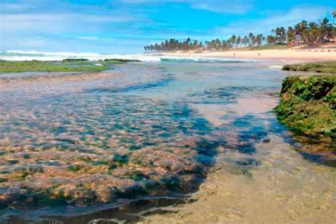 Praia de Stella Maris Todas as dicas e informações para visitar Tourb