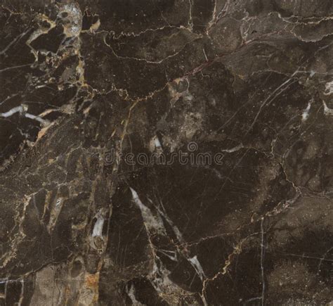 Flower Of Chinese Redbud Stone Plate Marble Background Grain Stock