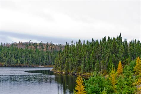 The Significance Of Ontarios Ring Of Fire To Canadas Climate Goals