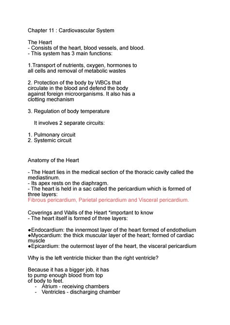 Cardio Vascular Notes Chapter 11 Cardiovascular System The Heart