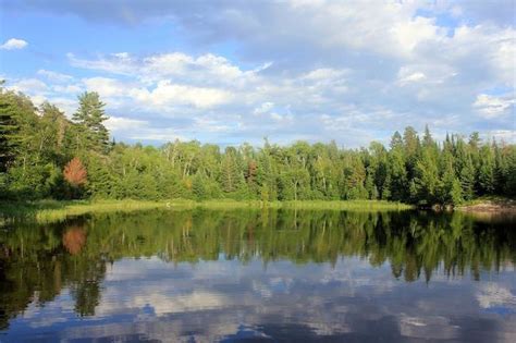 Poziv lastnikom priobalnih zemljišč ob Drtijščici in Rači in njunih