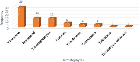 Epidemiology Of Dermatophyte And Non Dermatophyte Fungi Infection In E Ccid