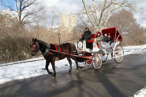 Carriage Ride in Central Park by Official NYC Horse Carriage Ride company!