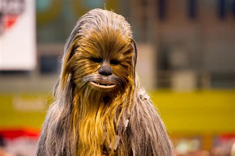 A woman wore a Chewbacca mask to give birth, so there’s a new Chewbacca ...