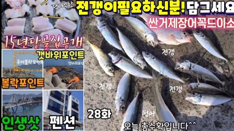 거제73방파제정복28하유볼락포인트전갱이마릿수느나ft 캠메추장어구이 거제15년당골집공개 Youtube