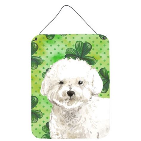 Carolines Treasures CK1814DS1216 Shamrocks Bichon Frise Wall Or Door