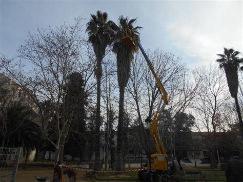 La Escuela Profesional Dual Zafra V Organiza Un Curso De Plataformas