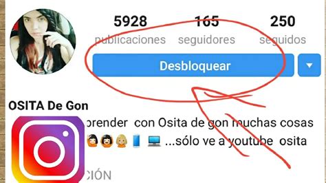 Qu Pasa Si Desbloqueo A Alguien En Instagram Haras Dadinco