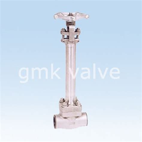 Forged Steel Cryogenic Gate Valve Gmk Best For Cryogenic Temperatures