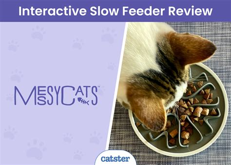 Freshpet Cat Food Review Of 2025 Recalls Pros And Cons Catster