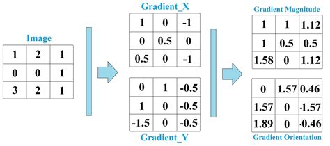 What Is Gradient Orientation And Gradient Magnitude Baeldung On