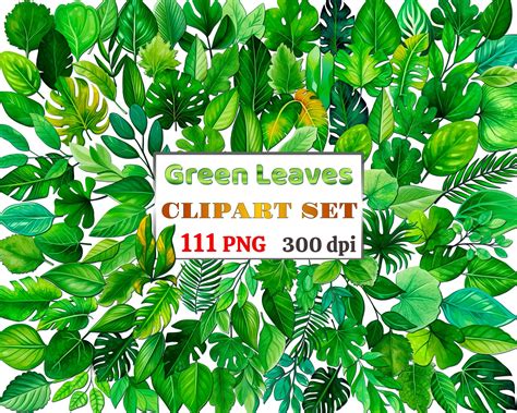 111 PNG Green Leaves Stickers Sheet, Green Leafs Stickers Design, for ...