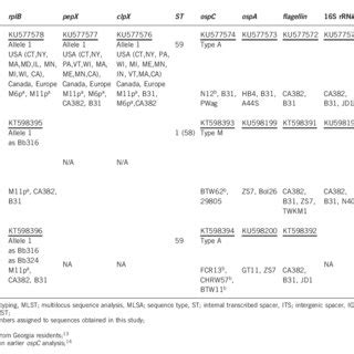 Identification of Lyme disease spirochetes detected in Florida... | Download Table