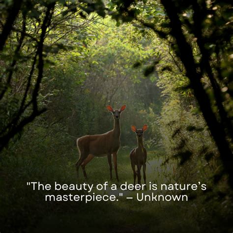 130 Deer Quotes For Nature Lovers Personalized T Sandjest