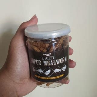 Jual Ulat Jerman Kering Dried Super Mealworm Snack Makanan Sugar Glider