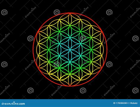 Fiore Della Vita Yantra Mandala Della Geometria Sacra Simbolo Di