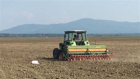 Alfalfa Field 04 Youtube