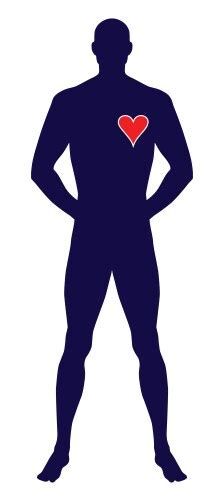 Naked Standing Man Royalty Free Vector Image VectorStock