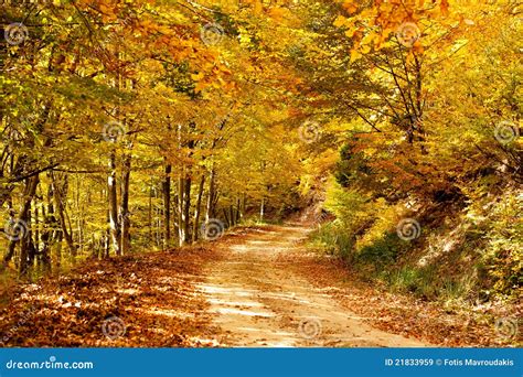 Color path stock image. Image of color, landscape, colorful - 21833959