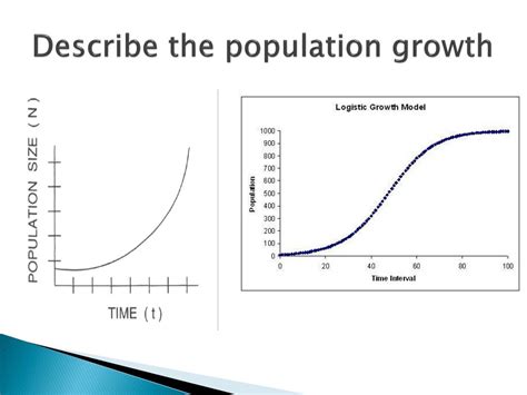 PPT - Population Growth Factors PowerPoint Presentation, free download - ID:1959498