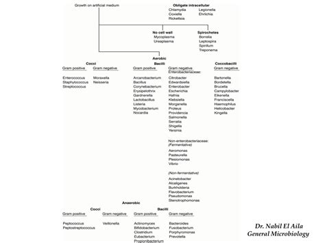 Solution A Lecture On The Classification Of Medically Important