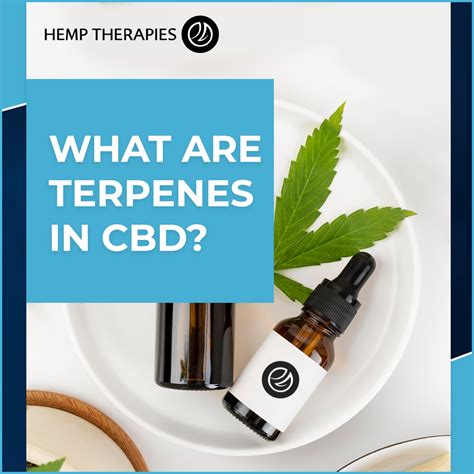 Untitled On Tumblr Terpenes Are Molecules That Help To Give Plants