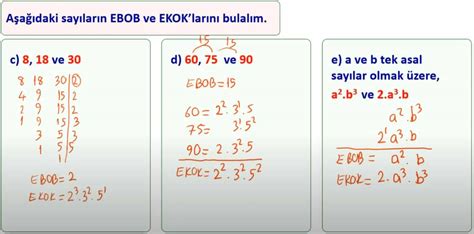 Ebob Ekok Konu Anlat M M Hendis Beyinler