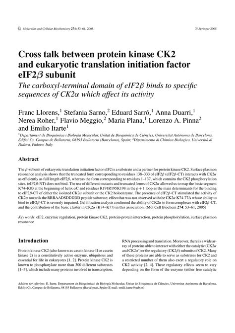 PDF Cross Talk Between Protein Kinase CK2 And Eukaryotic Translation