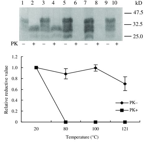 Effects Of Heating On Pk Resistance Of Prp Sc In The Presence Of