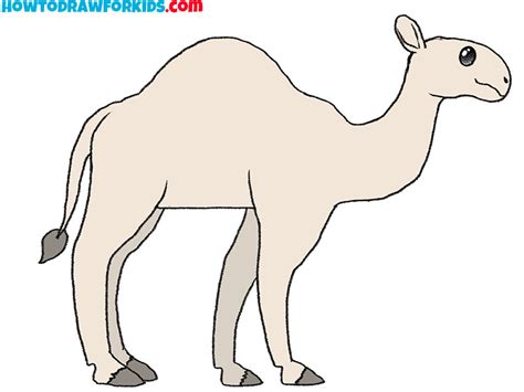 Easy Camel Drawing