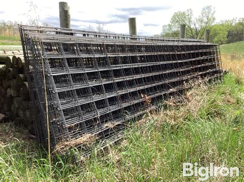 16 Cattle Panels Bigiron Auctions