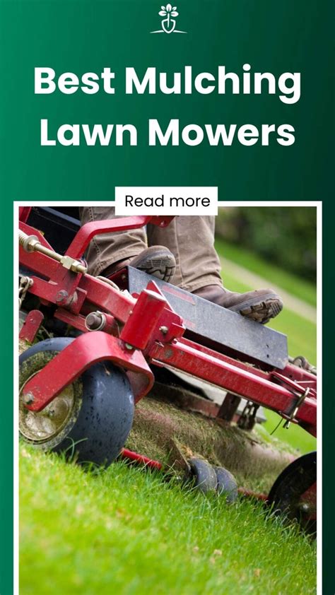 Best Mulching Riding Lawn Mower Review Ranee Casandra