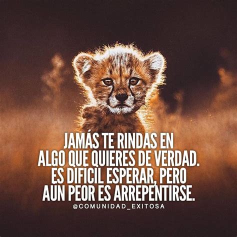 Aprende Mentalmillonario Motivate Emprende Comenta Y