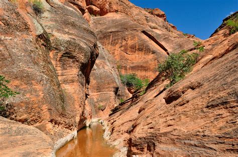 Red Cliffs Recreation Area Red Reef Trail Your Hike Guide