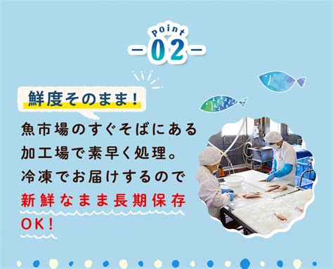 海のふぞろいレスキューコース未利用魚プラス【公式】らでぃっしゅぼーや