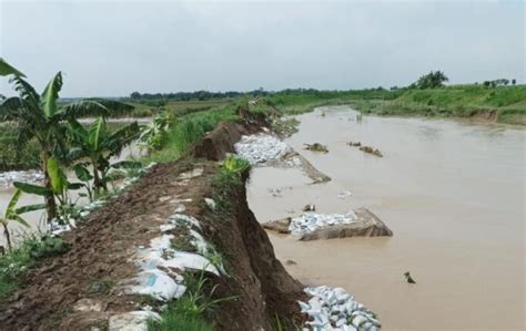 Kementan Respon Cepat Tangani Dampak Banjir Di Demak Aktual