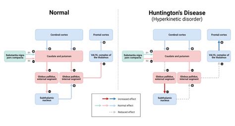 Somatic Mutation vs. Germline Mutation: 13 Key Differences