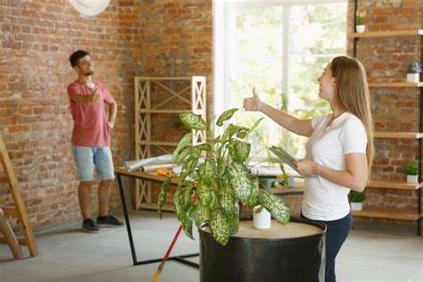 Cómo ahorrar al remodelar tu hogar sin gastarte mucho dinero Día 31