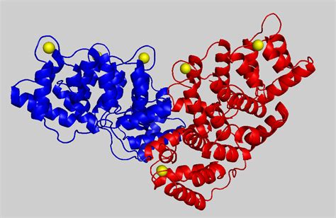 Molecular Interactions And Nmr Calcium Binding Proteins