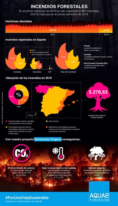 Incendios Forestales En España Fundación Aquae