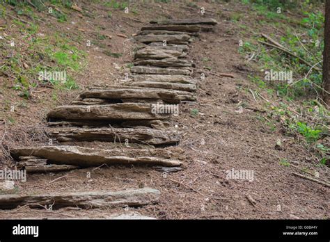 ancient roman path stock photo alamy